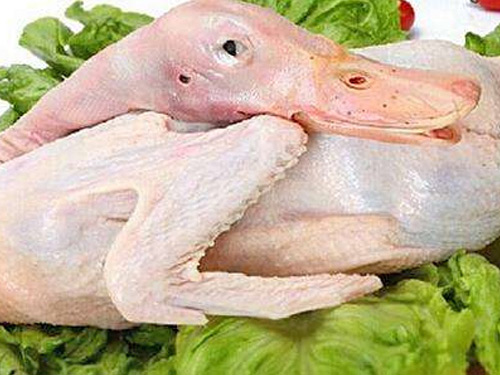鸭肉