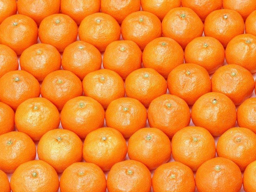 橘子