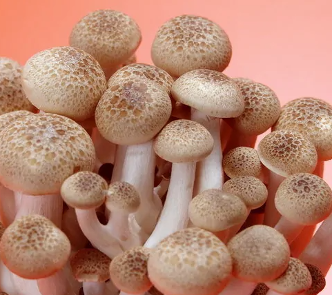 蔬菜配送小编分享以下4种碱性蔬菜 蔬菜配送小编分享以下4种碱性蔬菜
